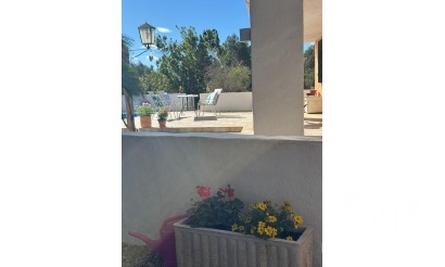 Herverkoop - Country house - Aledo - Aledo Centro