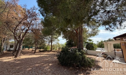 Herverkoop - Country house - Aledo - Aledo Centro