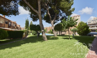 Venta - Apartment - Alicante City - Alicante City Centro