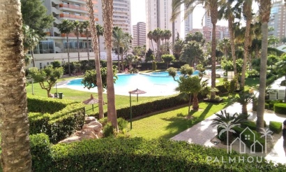 Venta - Apartment - Benidorm - Benidorm Centro