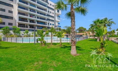 Revente - Apartment - Orihuela - Dehesa de Campoamor