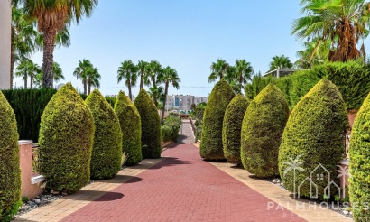 Revente - Apartment - Orihuela - Playa Flamenca