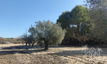 Revente - Plot - Orihuela - Torremendo