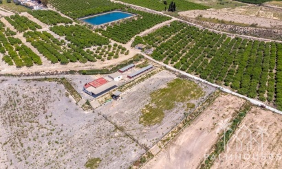 Herverkoop - Country house - Los Montesinos - Los Montesinos Centro