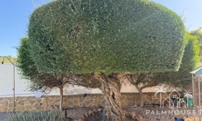 Venta - Villa - San Miguel de Salinas - San Miguel de Salinas Centro