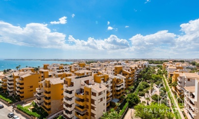 Revente - Apartment - Orihuela - Punta Prima