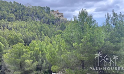 Venta - Plot - Callosa d'en Sarria - Callosa d'en Sarria Centro