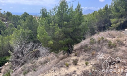 Venta - Plot - Callosa d'en Sarria - Callosa d'en Sarria Centro
