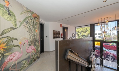 Revente - Apartment - Formentera del Segura - Formentera del Segura Centro