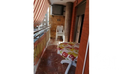 Revente - Apartment - Torrevieja - Torrevieja Centro