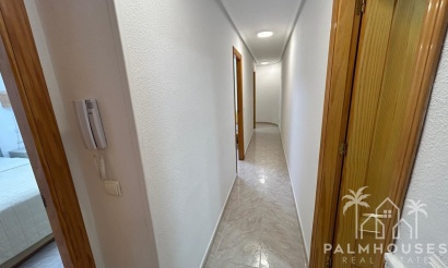Venta - Apartment - Torrevieja - Torrevieja Centro
