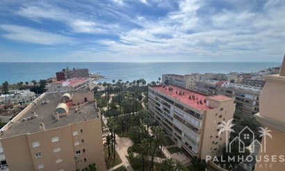 Herverkoop - Appartement - Torrevieja - Torrevieja Centro