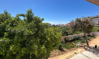 Venta - Apartment - Torrevieja - Torrevieja Centro