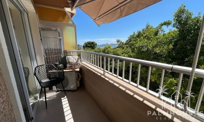 Venta - Apartment - Torrevieja - Torrevieja Centro