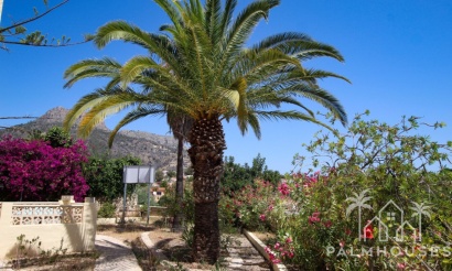 Revente - Villa - Calpe - Calpe Centro
