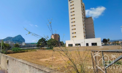 Herverkoop - Plot - Calpe - Calpe Centro