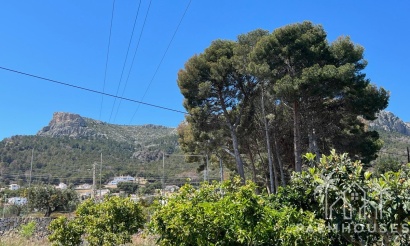 Venta - Villa - Novelda - Estación