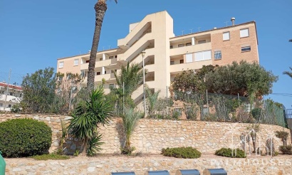 Resale - Apartments - Orihuela - Mil Palmeras
