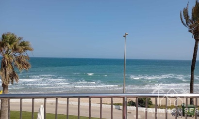 Resale - Apartments - Orihuela - Mil Palmeras