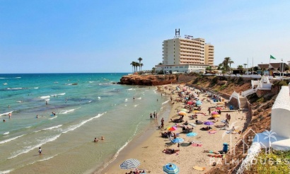 Revente - Maison - Orihuela - Villamartin