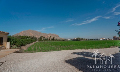 Revente - Villa - Orihuela - San Bartolomé