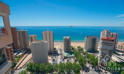 Revente - Apartment - Benidorm - Benidorm Centro