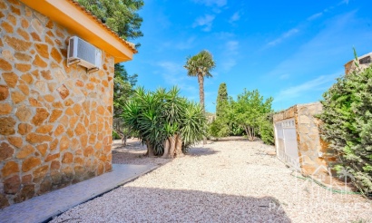 Revente - Villa - Rojales - Rojales Centro
