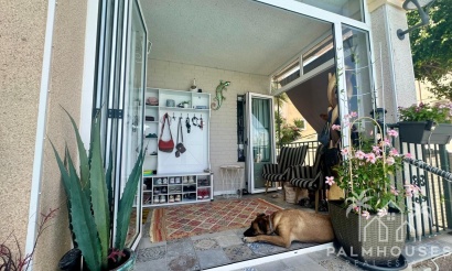 Herverkoop - Villa - Algorfa - Algorfa Centro