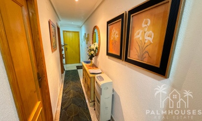 Venta - Apartment - Guardamar del Segura - Guardamar del Segura Centro