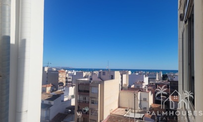 Venta - Apartment - Guardamar del Segura - Guardamar del Segura Centro