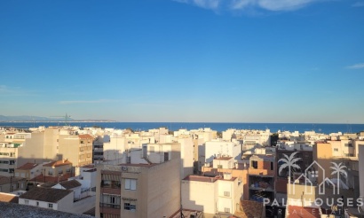Venta - Apartment - Guardamar del Segura - Guardamar del Segura Centro