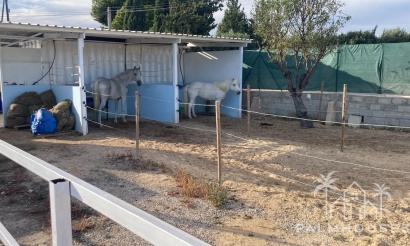 Resale - Country house - Crevillente - Crevillent - Crevillente - Crevillent Centro