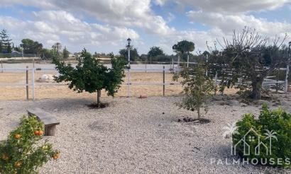 Resale - Country house - Crevillente - Crevillent - Crevillente - Crevillent Centro
