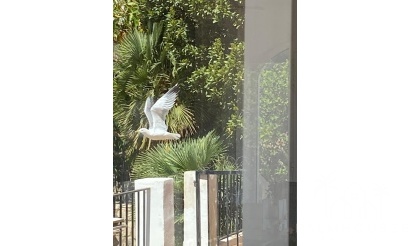 Herverkoop - Villa - Denia - Denia Centro