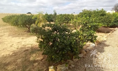 Venta - Country house - San Javier - San Javier Centro
