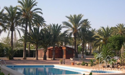 Revente - Villa - Elche - Elche Centro