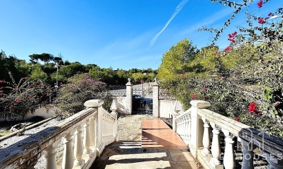 Revente - Villa - Orihuela - Dehesa de Campoamor