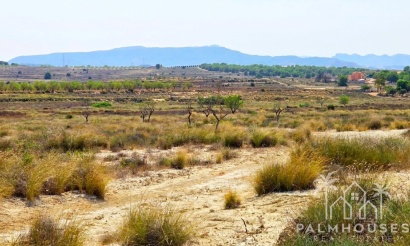 Revente - Plot - San Miguel de Salinas - San Miguel de Salinas Centro