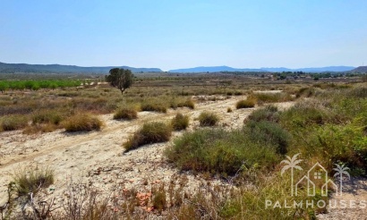 Revente - Plot - San Miguel de Salinas - San Miguel de Salinas Centro