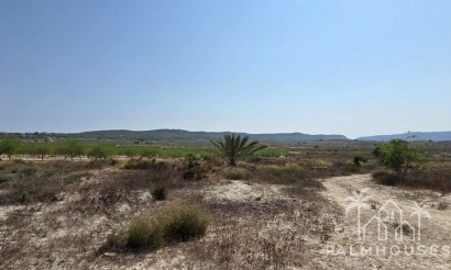 Revente - Plot - San Miguel de Salinas - San Miguel de Salinas Centro