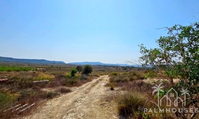 Revente - Plot - San Miguel de Salinas - San Miguel de Salinas Centro