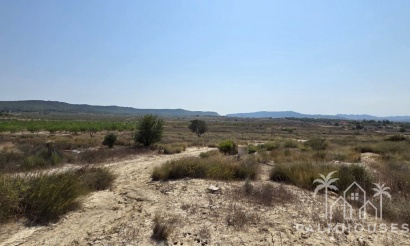 Revente - Plot - San Miguel de Salinas - San Miguel de Salinas Centro