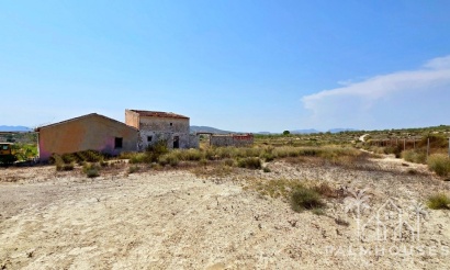 Revente - Plot - San Miguel de Salinas - San Miguel de Salinas Centro