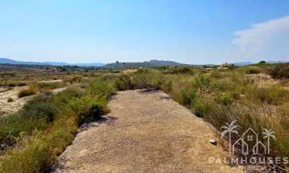 Revente - Plot - San Miguel de Salinas - San Miguel de Salinas Centro