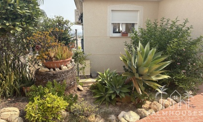 Revente - Villa - Algorfa - Algorfa Centro