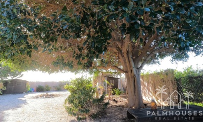 Venta - Country house - Orihuela - Orihuela Centro
