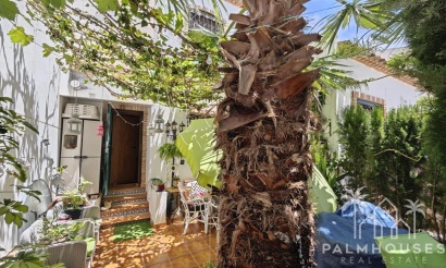 Venta - Apartment - Orihuela - Orihuela Costa