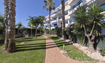 Herverkoop - Appartement - Orihuela - Playa Flamenca