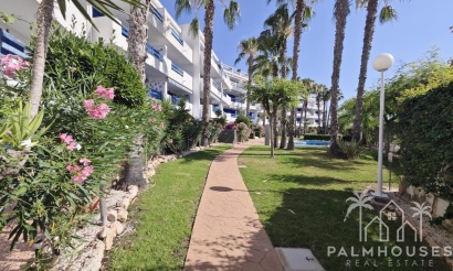 Herverkoop - Appartement - Orihuela - Playa Flamenca