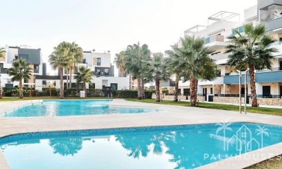 Venta - Apartment - Orihuela - La Florida